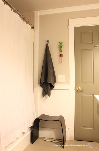 Main-Bathroom-Shower-and-Door